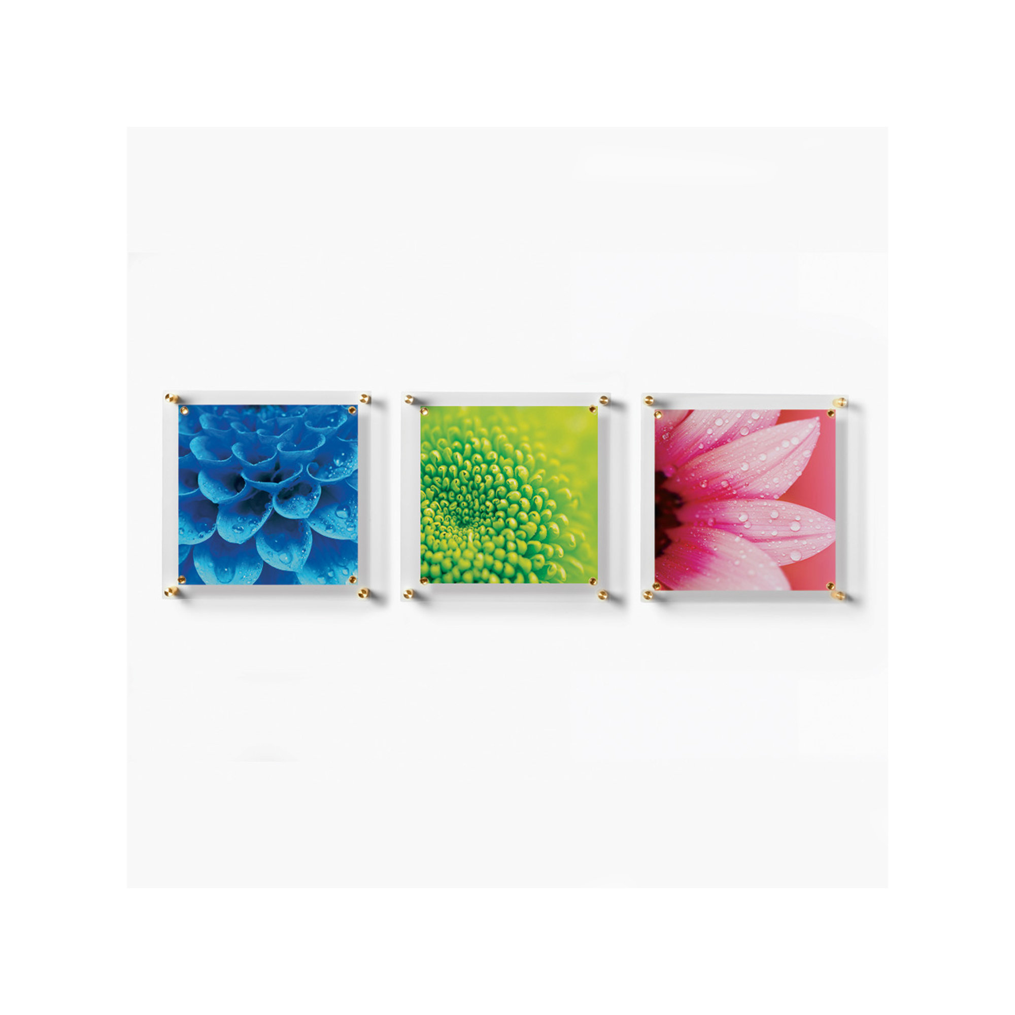 14" x 14" Trio Picture Frame, Gold/Clear