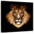 Brampt Solemn Lion-109368352