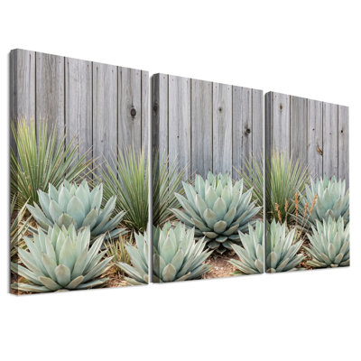 «Blue Agave Plants Contre Grey», ensemble de 3 toiles murales
