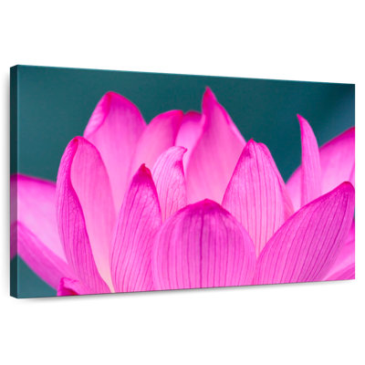 Harnek Hot Pink Lotus