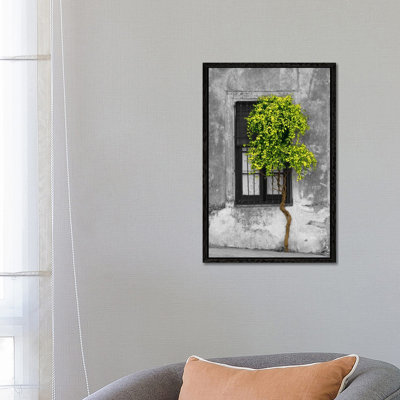Panoramic Images - Print on Canvas