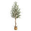 180cm Plant