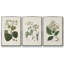 Forêt arctique I 3 pièces-97758021-97758023