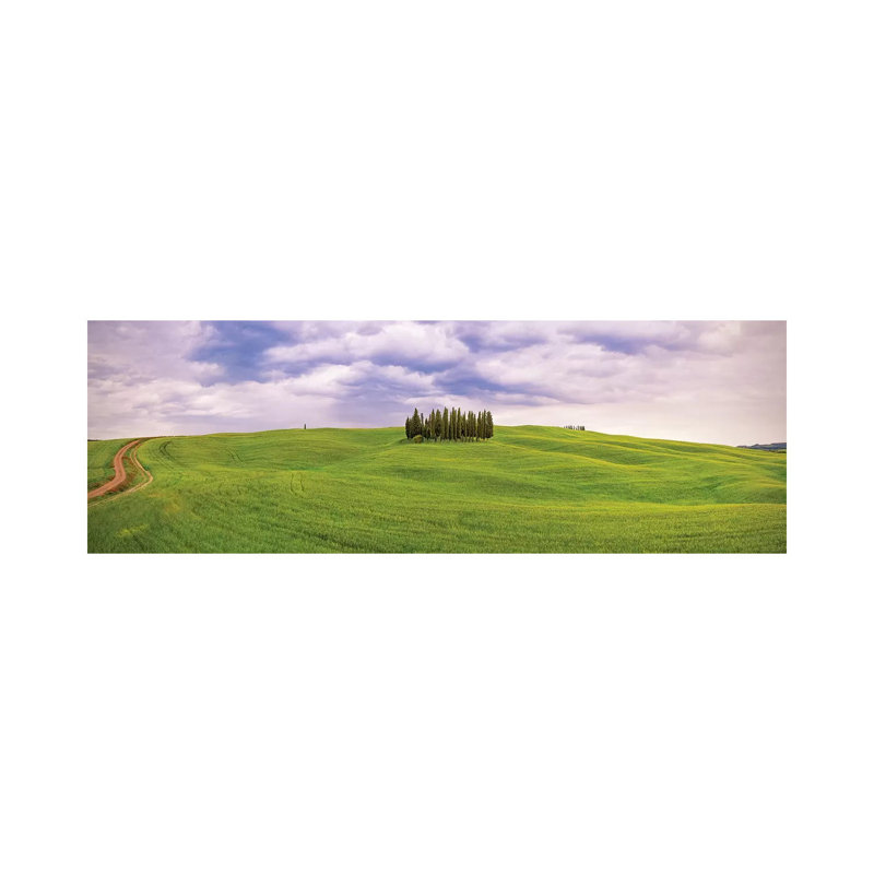 Italy, San Quirico d'Orcia. Cypress grove in panoramic. 1 Piece Wrapped Canvas Panoramic Wall Art, 30.48 cm H x 91.44 cm W