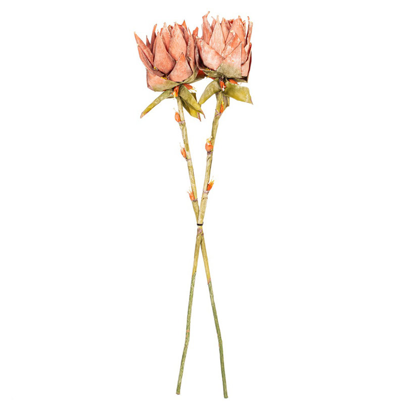 Vickerman Dea Protea Stem, 2 par sac, 37 plantes, Rouge
