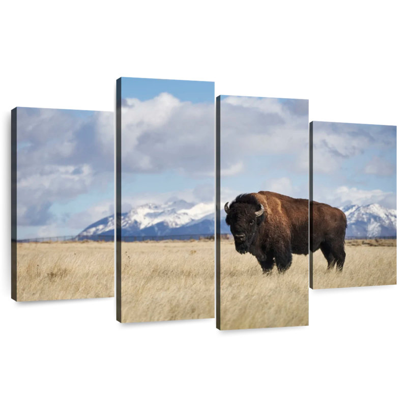 Brampt Lone Bison In A Field