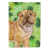 Brun Shar Pei sélectionné