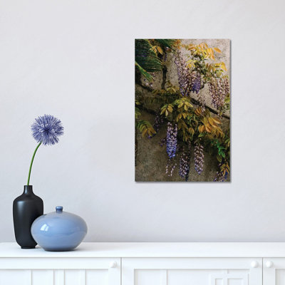 Positano Blooms VIII by Bethany Young - Print on Canvas