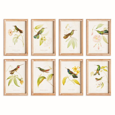 HUMMINGBIRDS IN BLOOMS STUDY, ENSEMBLE DE 8