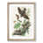 Oak Framed