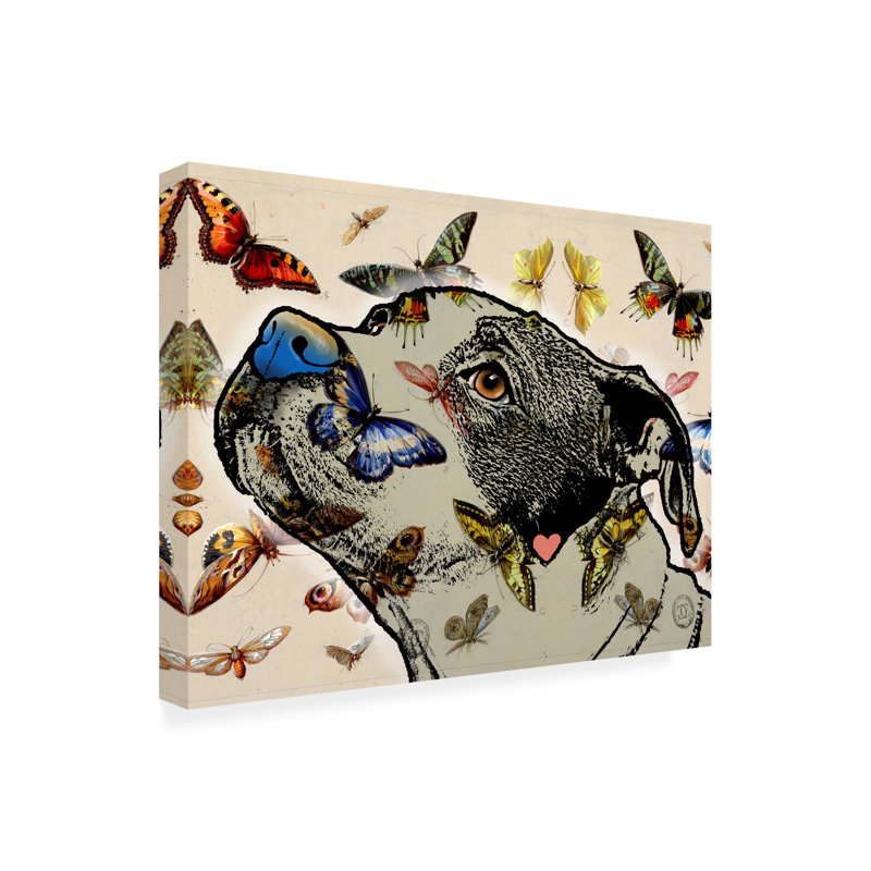 Animals Around Here On Canvas Print, H 14 po x l 19 po x P 2 po