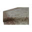 Oriental Area Rug