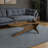 Mid Century Coffee Table-2023179848