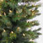 Sapin à feu de camp pré-éclairé avec lumières DEL The Holiday Aisle®