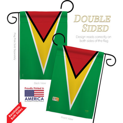 Ensemble drapeau 2 côtés 1 pi 7 po x 1 pi 1 po guyana