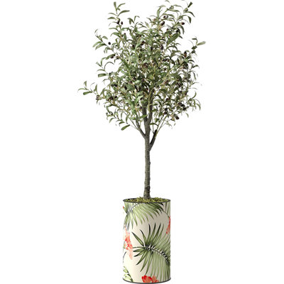 Faux Olive Tree Plant in Plastic Planter