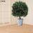 2 - Piece Artificial Evergreen Tree in Pot Set