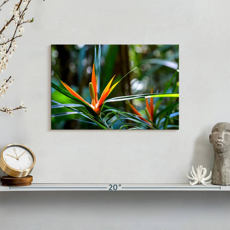 Harnek, oiseaux tropicaux du paradis, H 8 po x l 12 po