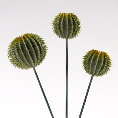 14.5'' Faux Barrel Cacus Mini Barrell