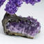 Small Amethyst Clustered Gemstone Tree on Amethyst Matrix (The Protection Tree)