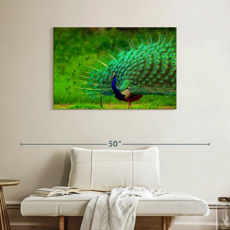Plumage bleu paon bleu brillant, H 26 po x l 39 po
