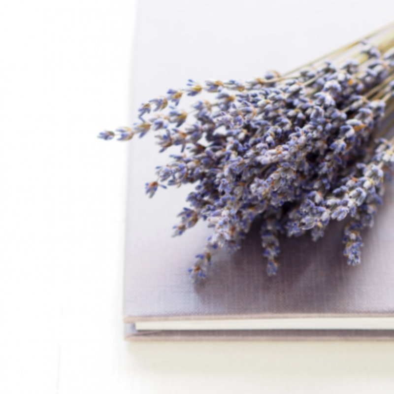 Arrangement de lavande