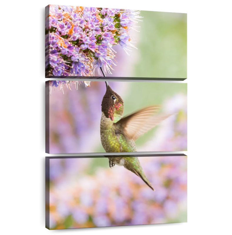 Brampt Feeding Anna Hummingbird, 38" H x 24" W