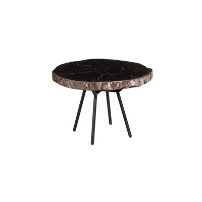 Petrified Coffee Table, Round, Metal Black Base