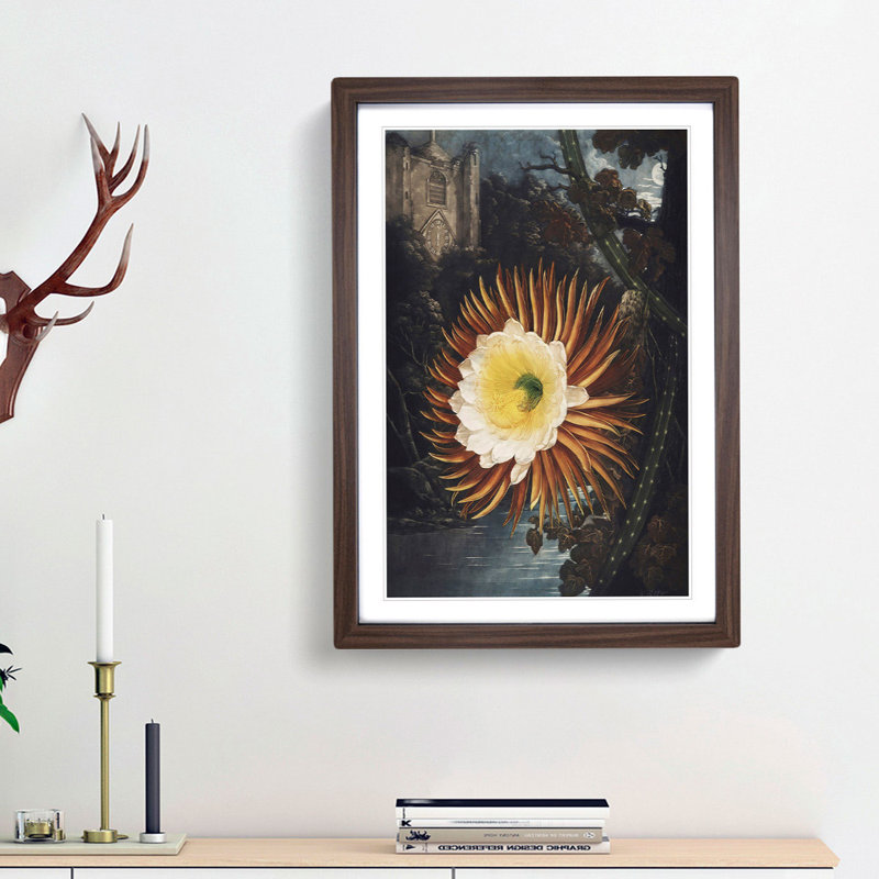 Blooming Cacti by R.J. Thornton - Picture Frame Painting Print, 65cm H x 48cm W x 2cm D, Walnut Framed