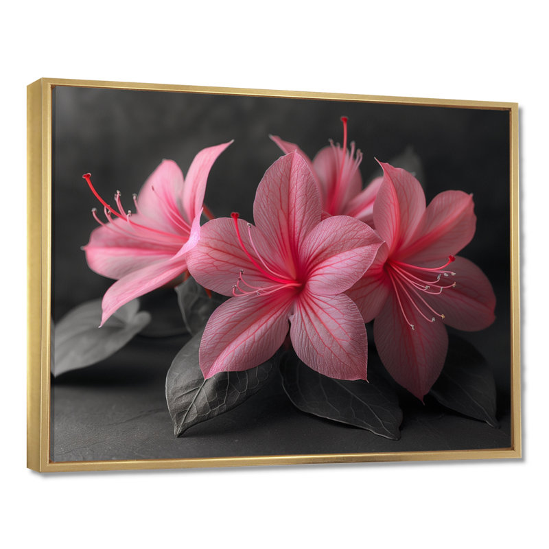Décoration murale rose et gris fuchsia - Fuschia, Cadre flottant doré, bois massif, H 24 po x l 32 po