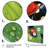 " Red And Black Ladybugs I "-372814508-372814497