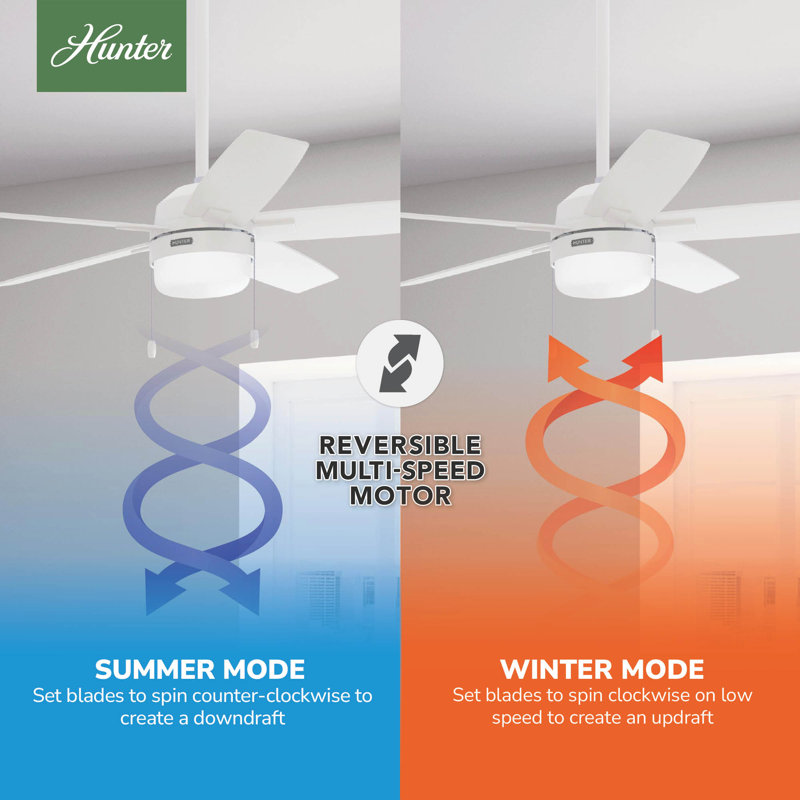Anisten 52" 5 - Blade Ceiling Fan With Lights and Pull Chains, White