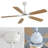 Lieschen 52'' Ceiling Fan with LED Lights-885601454-885601455