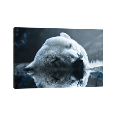 Polar Bear by Milos Karanovic - Wrapped Canvas Print