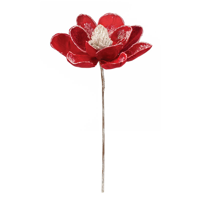 Tiges, buissons et sprays de magnolia, Rouge
