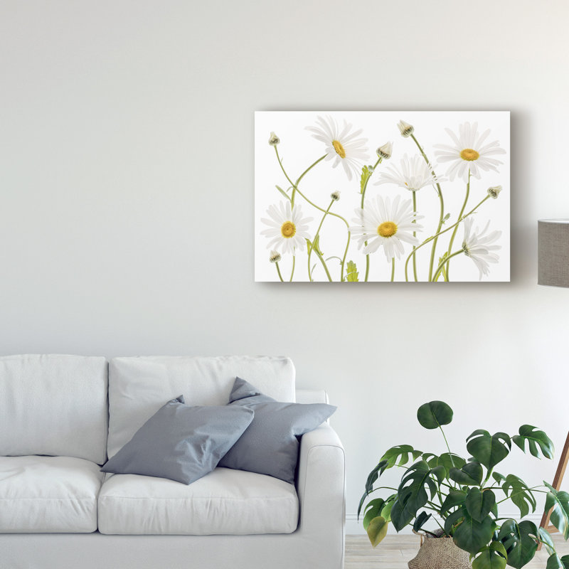 Modern & Contemporary, 12" H x 19" W x 2" D