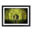 Marvellous Elephant in a Green Forest in Abstract - Framed Print-55770715-55770716