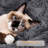 Daughtry 64.5" H Multi-Level Cat Tree-869540683