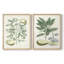 Buchoz Tropicals III - reproduction encadrée de qualité supérieure - prête à être accrochée - aucun clou requis - aucun clou requis-1569479741-1569479729