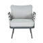 Ensemble de 2 fauteuils club en acier, gris