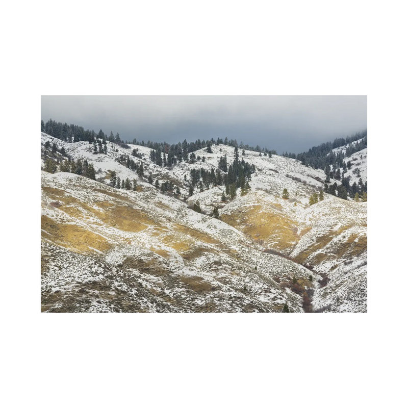 There's Gold In Them Hills by Louis Ruth - Wrapped Canvas Print, 26" H x 40" W x 1.5" D