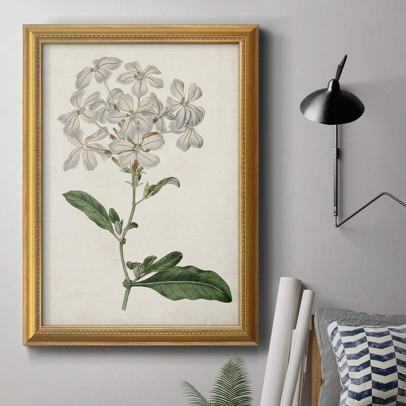 Toile encadrée de qualité supérieure Antique Botanical Collection, H 27 po x l 18 po x P 2,5 po