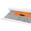 Impression sur papier Tigert Lane Tiger Lane-47482585-47833549