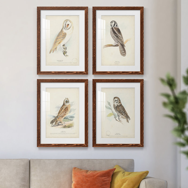 Barn Owl - ensemble de 4 reproductions de cadres photo, Érable, H 31,5 po x l 47 po x P 1,5 po