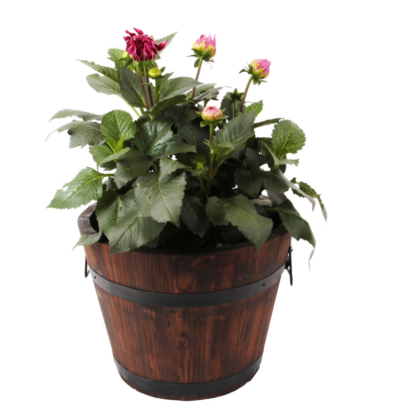 Rustic Brown Cypress Wood Barrel Planter Set of 4