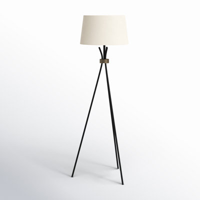 Carmine 60'' Matte Black/Antique Bronze Tripod Floor Lamp