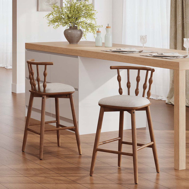 Ensemble de 2 chaises d'appoint d'intérieur combinant élégance traditionnelle et confort moderne, Noyer