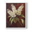 Série FLORAL CXCVII - Impression encadrée de qualité supérieure - Prêt à accrocher - Aucun clou requis-1864451381-1864451379