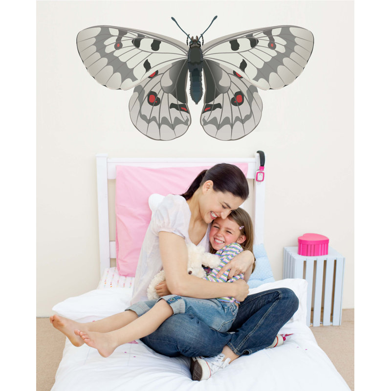 Adhésif décoratif papillon IV, H 44 po x l 84 po