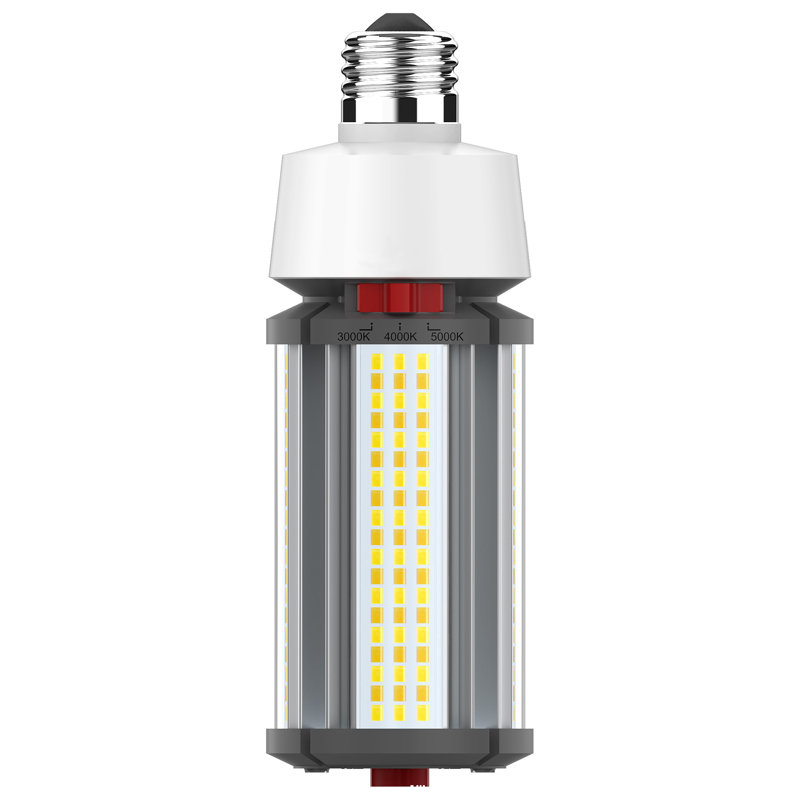 22 Watt LED Bulb